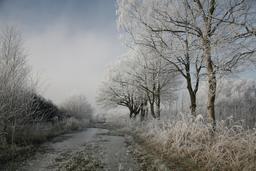 Matin d'hiver en Allemagne. Source : http://data.abuledu.org/URI/52bf47f4-matin-d-hiver-en-allemagne