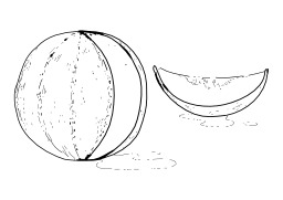 Melon. Source : http://data.abuledu.org/URI/5026ce83-melon