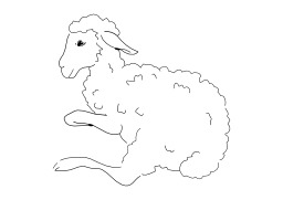 Mouton. Source : http://data.abuledu.org/URI/5026d9dd-mouton