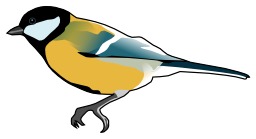 Oiseau. Source : http://data.abuledu.org/URI/47f616c4-oiseau
