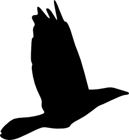 Oiseau en vol. Source : http://data.abuledu.org/URI/5049a620-oiseau-en-vol