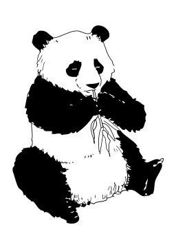 Panda. Source : http://data.abuledu.org/URI/5027610e-panda