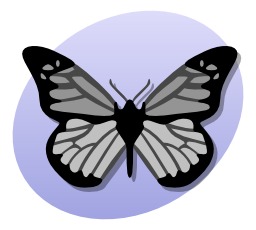 Papillon. Source : http://data.abuledu.org/URI/5049f16b-papillon
