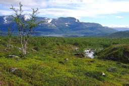 Parc naturel en Laponie. Source : http://data.abuledu.org/URI/5301c6f9-parc-naturel-en-laponie