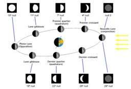 Phases lunaires. Source : http://data.abuledu.org/URI/51afa86b-phases-lunaires