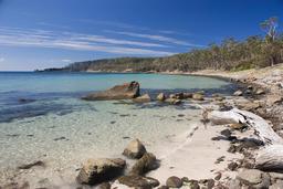 Plage de Maria Island en Tasmanie. Source : http://data.abuledu.org/URI/54ba8871-plage-de-maria-island-en-tasmanie