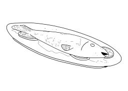 Poisson. Source : http://data.abuledu.org/URI/502774d6-poisson