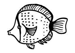 Poisson. Source : http://data.abuledu.org/URI/50277575-poisson