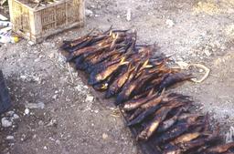 Poisson sếché à l'air libre au Sénégal. Source : http://data.abuledu.org/URI/54883d54-poisson-s-che-a-l-air-libre-au-senegal