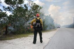 Pompier forestier. Source : http://data.abuledu.org/URI/53307360-pompier-forestier
