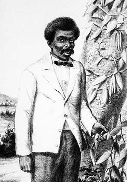 Portrait d'Edmond Albius. Source : http://data.abuledu.org/URI/5276b7d1-portrait-d-edmond-albius