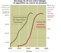 Poumons et tabagisme. Source : http://data.abuledu.org/URI/503e95a3-poumons-et-tabagisme
