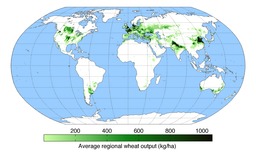 Production mondiale de blé en 2000. Source : http://data.abuledu.org/URI/534abc9f-production-mondiale-de-ble-en-2000