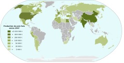 Production mondiale de pois frais en 2007. Source : http://data.abuledu.org/URI/50d0c17e-production-mondiale-de-pois-frais-en-2007