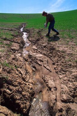 Ravine creusée par l'érosion dans un champ cultivé. Source : http://data.abuledu.org/URI/52776e5f-ravine-creusee-par-l-erosion-dans-un-champ-cultive