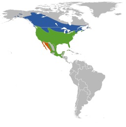 Répartition du carouge à épaulettes rouges en Amérique du nord. Source : http://data.abuledu.org/URI/53b9a7e3-repartition-du-carouge-a-epaulettes-rouges-en-amerique-du-nord