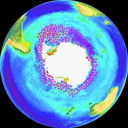 Répartition géographique du krill antarctique. Source : http://data.abuledu.org/URI/50e4605d-repartition-geographique-du-krill-antarctique