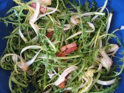 Salade de pissenlit et lardons. Source : http://data.abuledu.org/URI/514cb45e-salade-de-pissenlit-et-lardons