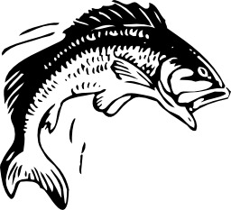 Saut de poisson. Source : http://data.abuledu.org/URI/5381a9b8-saut-de-poisson