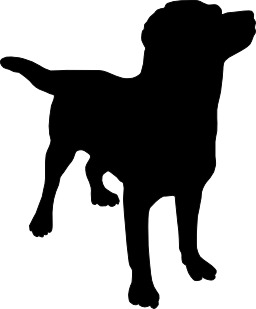 Silhouette d'un chien. Source : http://data.abuledu.org/URI/501990c7-silhouette-d-un-chien