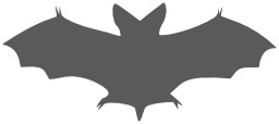 Silhouette de chauve-souris en vol. Source : http://data.abuledu.org/URI/52ed8124-silhouette-de-chauve-souris-en-vol