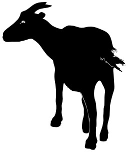 Silhouette de chèvre. Source : http://data.abuledu.org/URI/5049b636-silhouette-de-chevre
