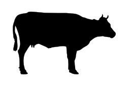 Silhouette de vache. Source : http://data.abuledu.org/URI/54067a63-silhouette-de-vache