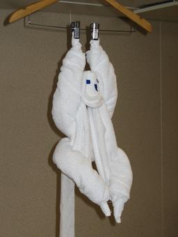 Singe suspendu en serviettes de bain. Source : http://data.abuledu.org/URI/53425cd1-singe-suspendu-en-serviettes-de-bain