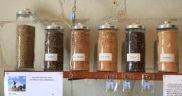 Six céréales. Source : http://data.abuledu.org/URI/55db7c2a-six-cereales