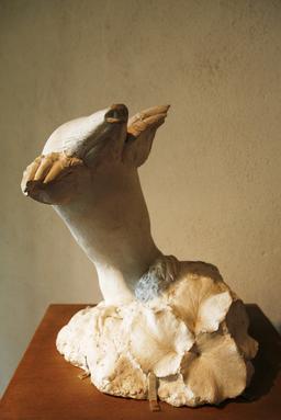 Statue de taupe. Source : http://data.abuledu.org/URI/52b20cf6-statue-de-taupe