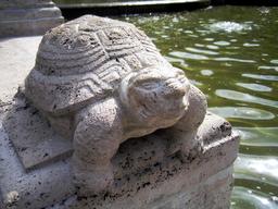 Statue de tortue. Source : http://data.abuledu.org/URI/534700ec-statue-de-tortue