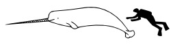 Taille de narval. Source : http://data.abuledu.org/URI/5378c287-taille-de-narval