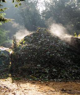 Tas de compost. Source : http://data.abuledu.org/URI/510e874d-tas-de-compost