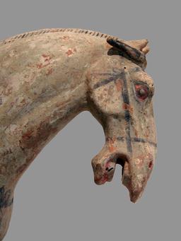 Tête de cheval. Source : http://data.abuledu.org/URI/52e133ff-tete-de-cheval