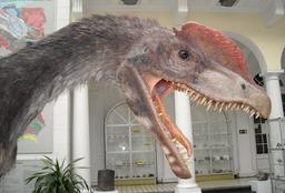 Tête de Dilophosaurus wetherilli. Source : http://data.abuledu.org/URI/51230ed0-tete-de-dilophosaurus-wetherilli