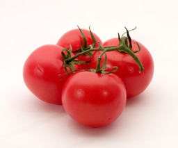 Tomate. Source : http://data.abuledu.org/URI/501bc4c5-tomate