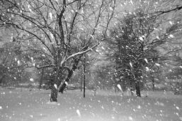 Tombe la neige. Source : http://data.abuledu.org/URI/513e61d1-tombe-la-neige
