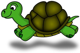 La tortue de Lilyu à gauche. Source : http://data.abuledu.org/URI/5184d9a0-tortue-de-lilyu