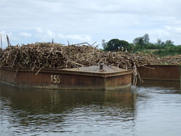 Transport maritime de canne à sucre. Source : http://data.abuledu.org/URI/50204664-transport-maritime-de-canne-a-sucre