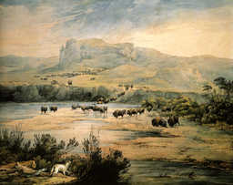 Troupeau de bisons en 1833. Source : http://data.abuledu.org/URI/54e62fc1-troupeau-de-bisons-en-1833