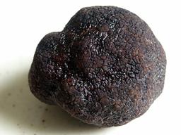 Truffe noire du Périgord. Source : http://data.abuledu.org/URI/50a3adb6-truffe-noire-du-perigord
