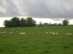 Une ferme en Écosse. Source : http://data.abuledu.org/URI/503c7fcd-une-ferme-en-ecosse