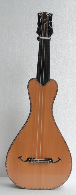 Viola de cocho brésilienne. Source : http://data.abuledu.org/URI/53343e38-viola-de-cocho