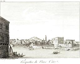 Vue du Caire en 1799. Source : http://data.abuledu.org/URI/591c8750-vue-du-caire-en-1799