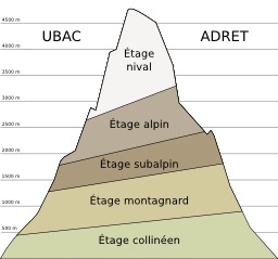 Zonage altitudinal des Alpes. Source : http://data.abuledu.org/URI/520ceac0-zonage-altitudinal-des-alpes