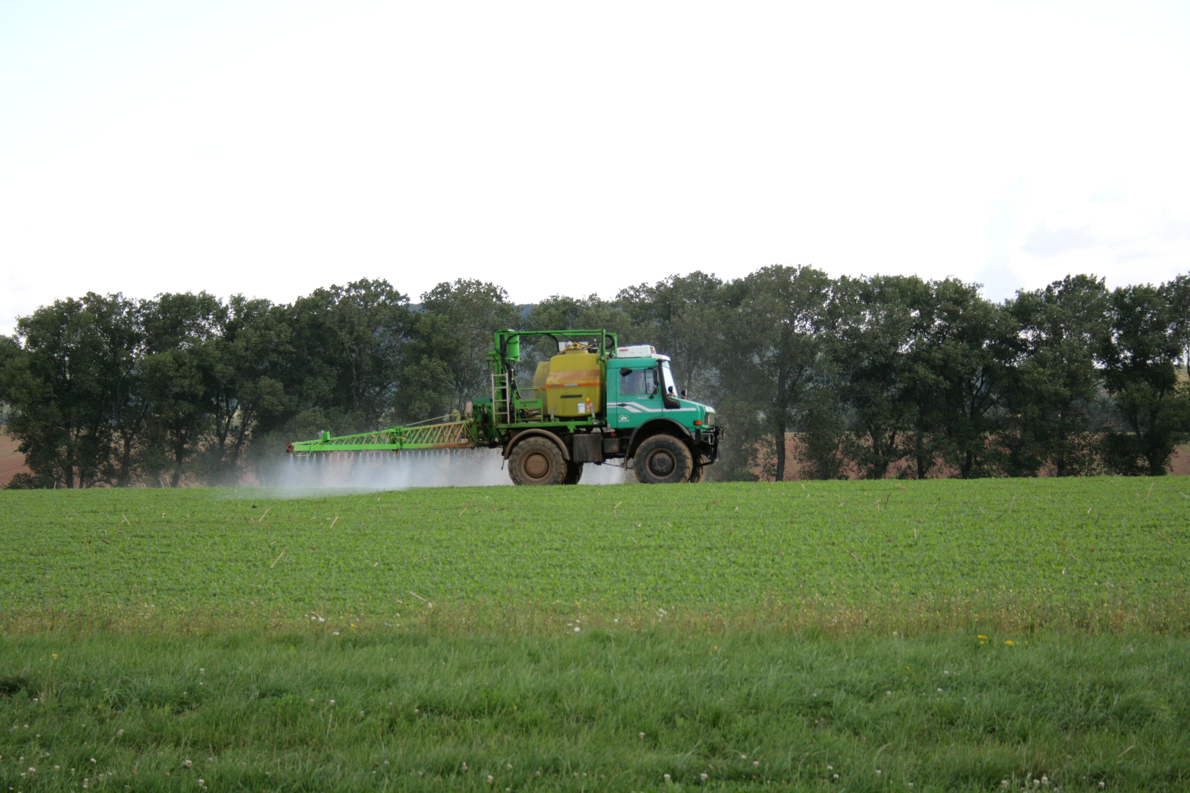 Aspersion de pesticides dans un champ en octobre.