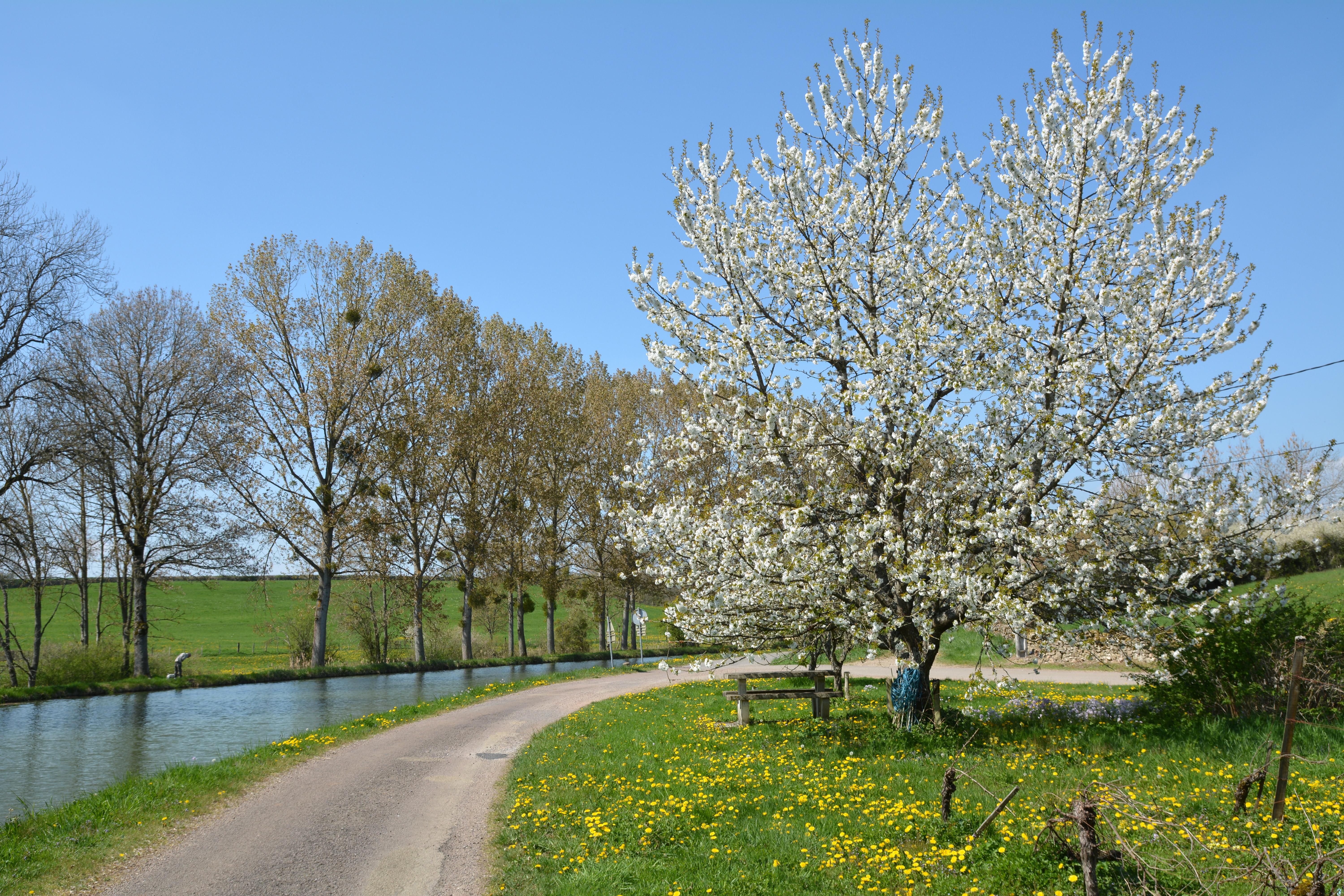 Véloroute en bordure du canal de Bourgogne vers Vandenesse en Auxois, Côte-d'Or, Bourgogne.
