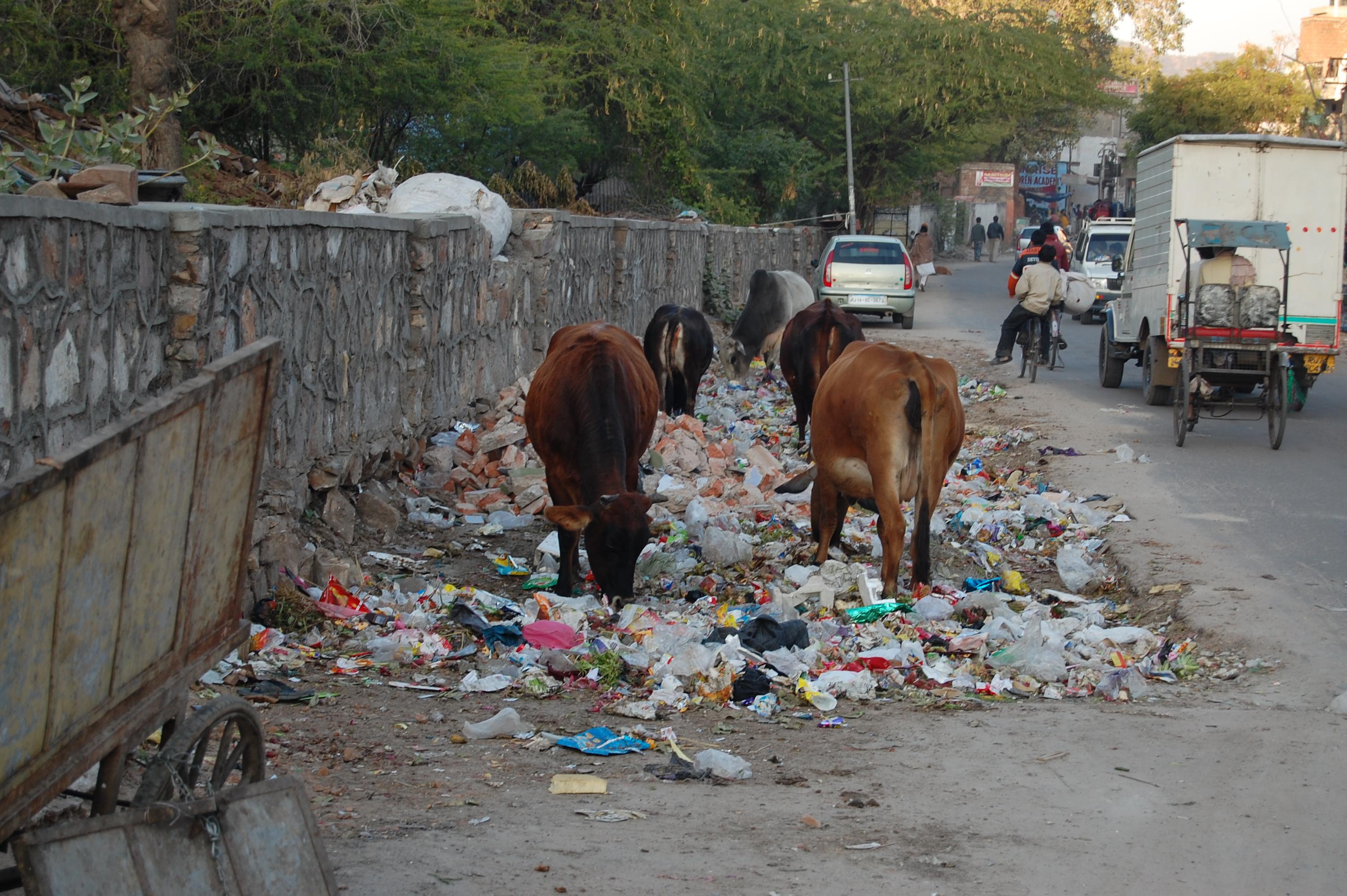 Déchets en bord de rue en Inde