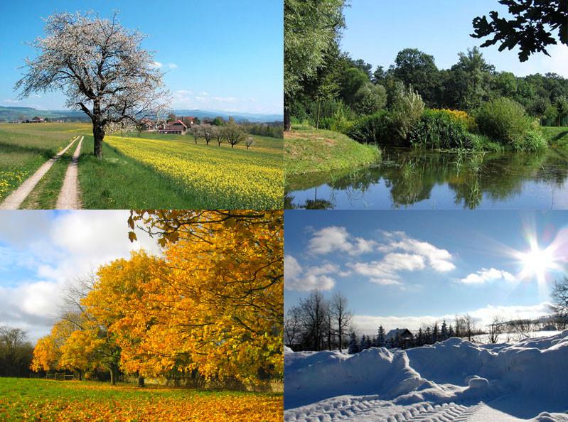 Les quatre saisons, collage.
