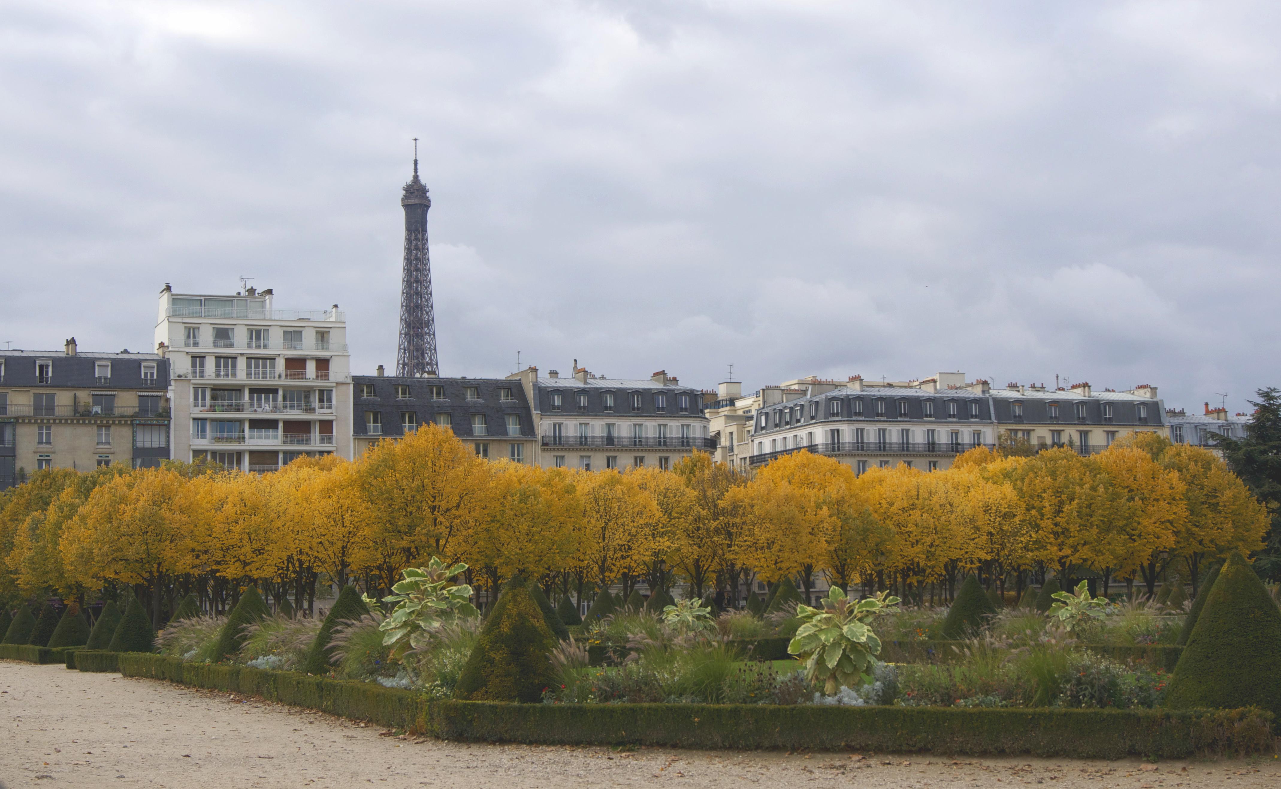 Couleurs d'automne boulevard de La Tour Maubourg, depuis l'entrée des Invalides, avec la Tour Eiffel en fond.